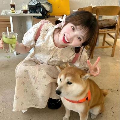 女友成堆第二季
